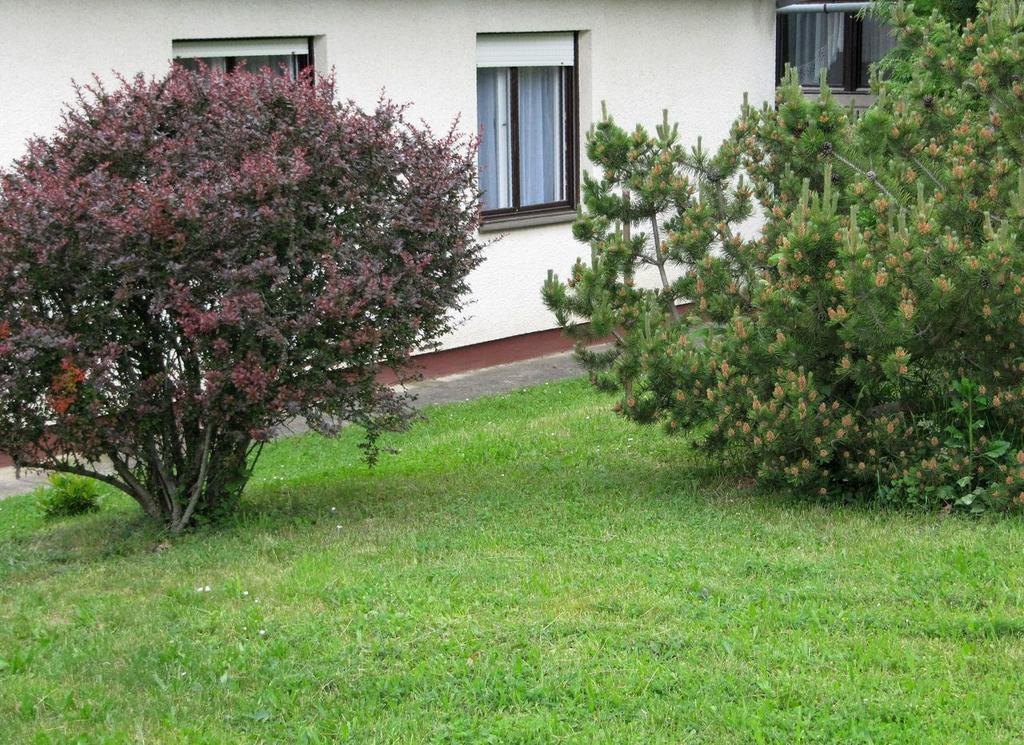 Budai Garden House Hévíz 客房 照片