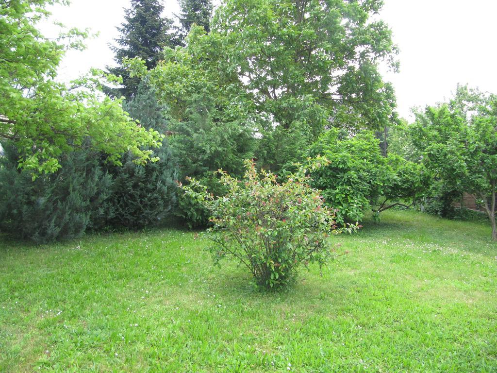 Budai Garden House Hévíz 客房 照片